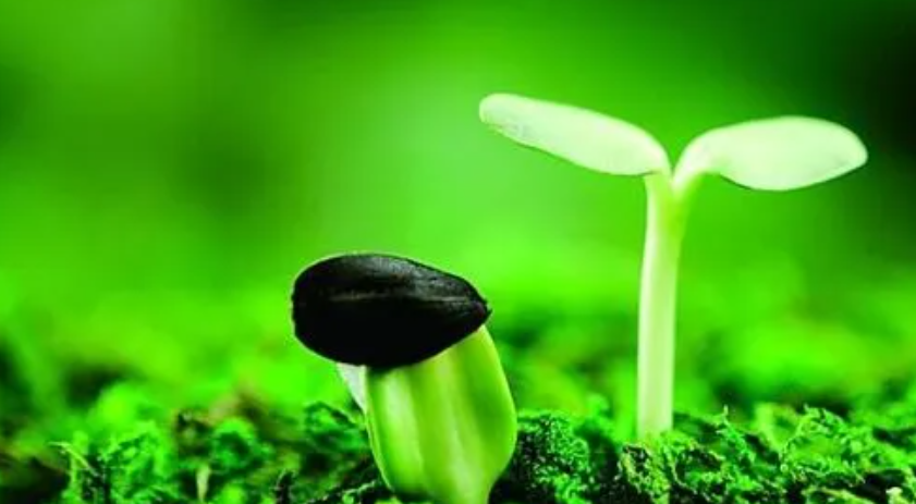 价值性与知识性的融合：论文选题的创新思路探索