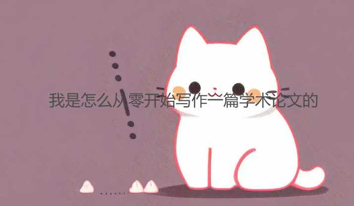 我是怎么从零开始写作一篇学术论文的：从迷茫到完成的历程